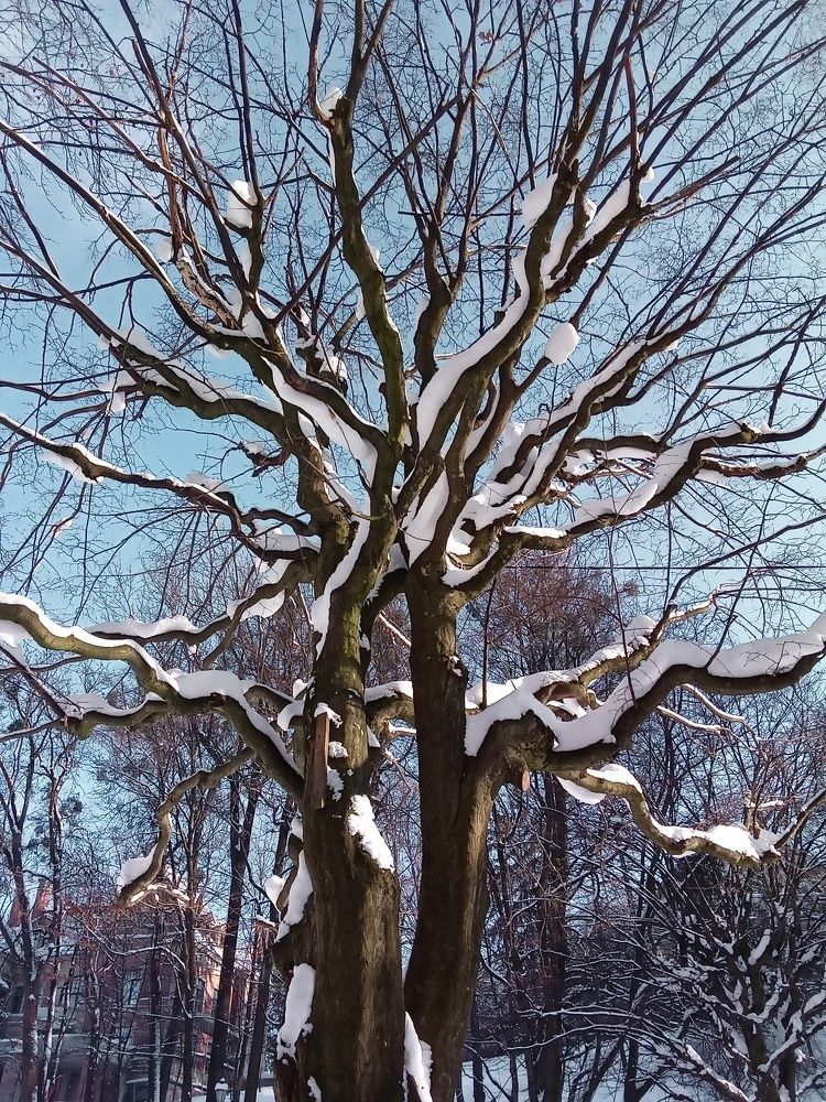 Photograph by Елена Шерман