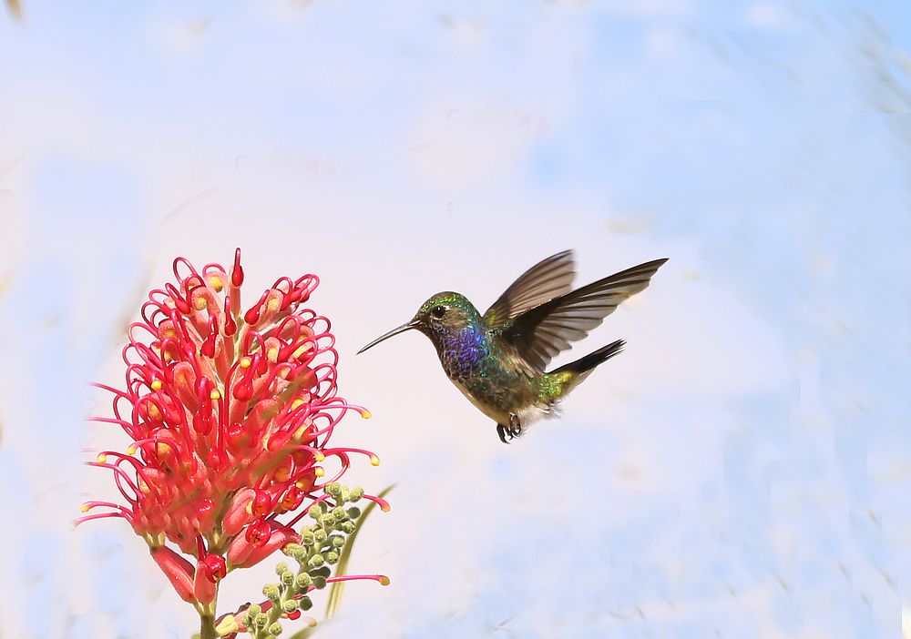 Photograph by Paulo Fernando Campana