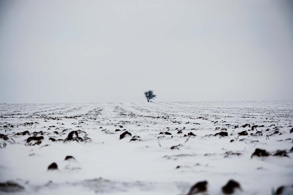 Photograph by София Шагаевская