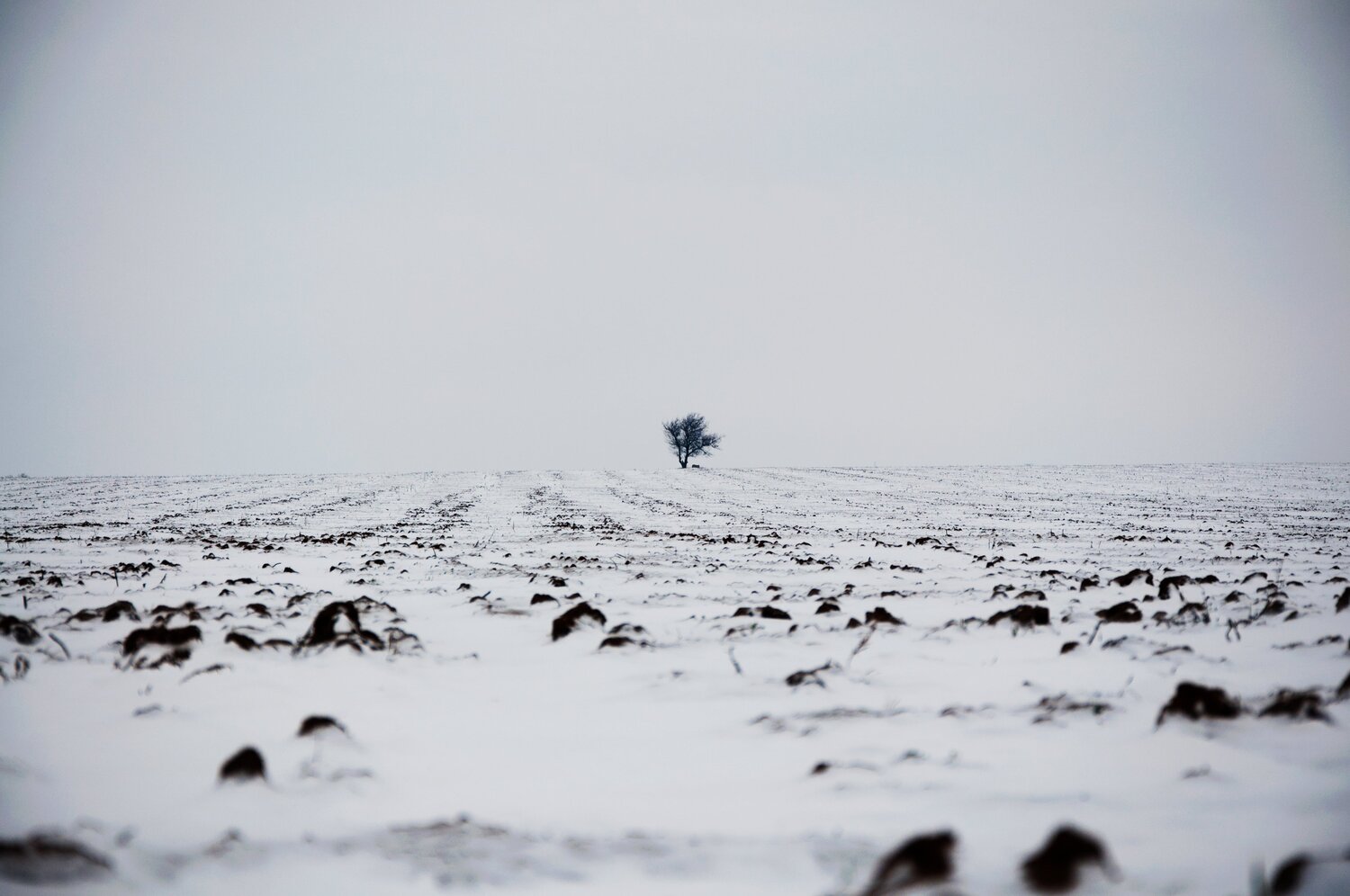 Photo #5792801