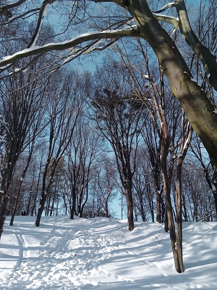 Photograph by Елена Шерман