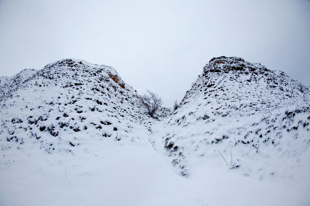 Photograph by София Шагаевская