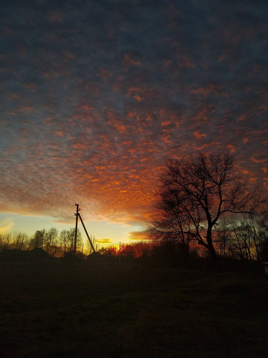 Photo #5792855