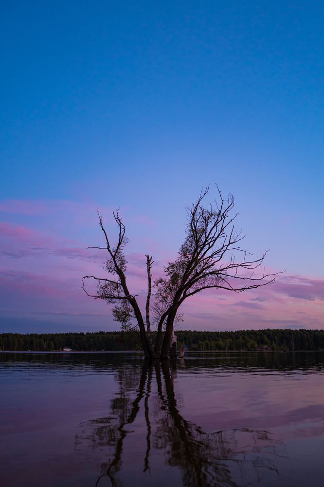 Photograph by Дмитрий Трахтенберг
