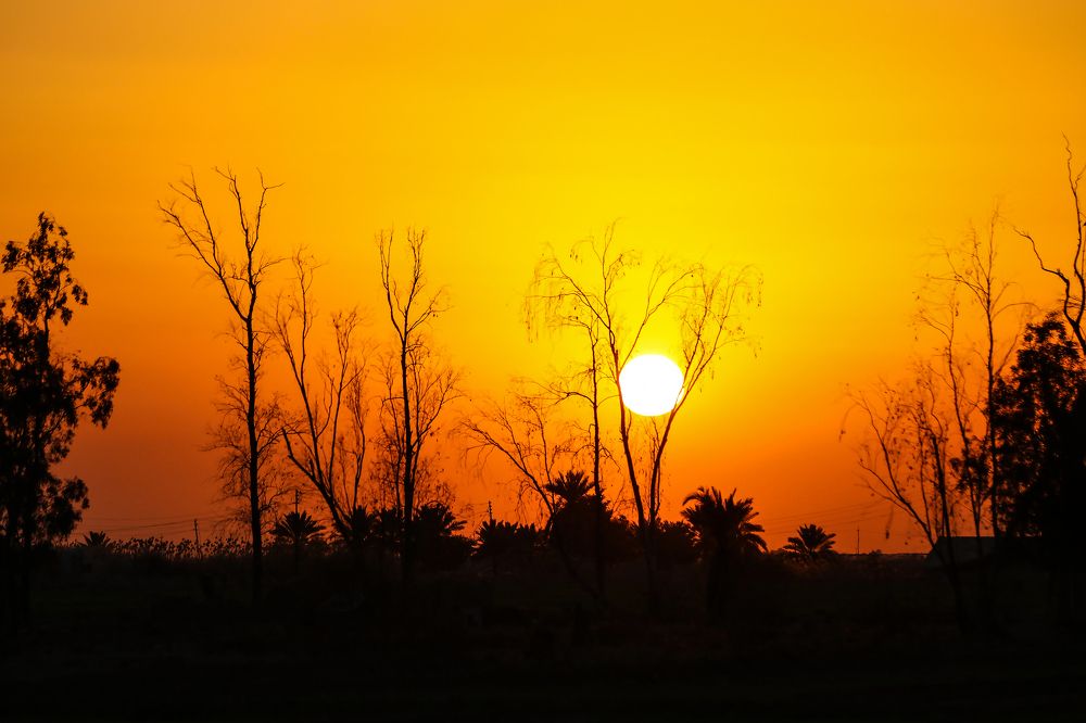 Photograph by E Hamdi Abdullah