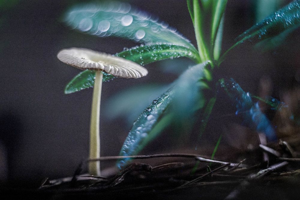 Фотография автора Michele Trombella