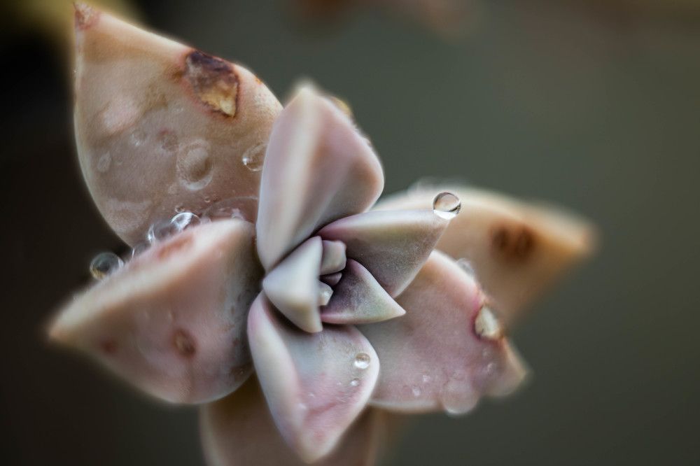 Фотография автора Michele Trombella