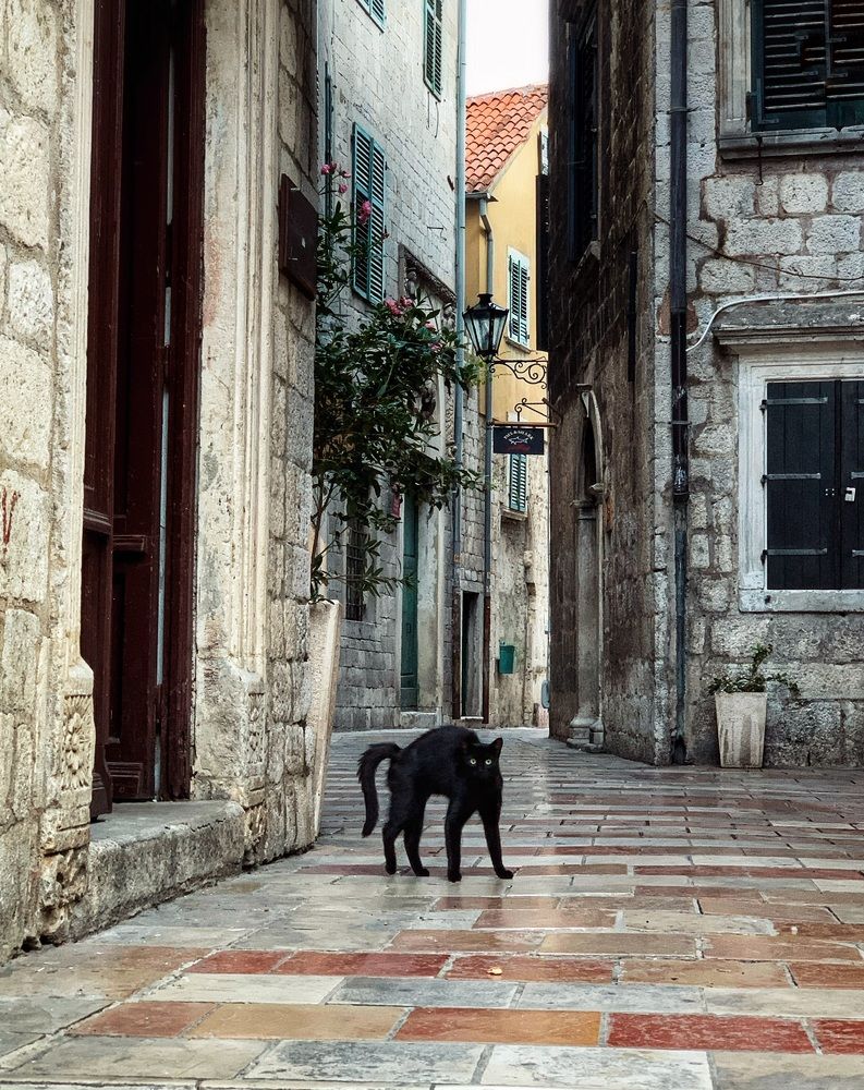 Photograph by Юлия Казакова