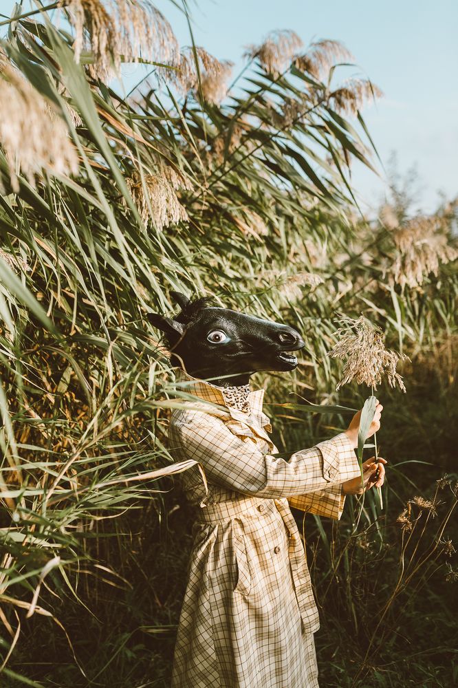 Фотография автора Вероника Гергерт