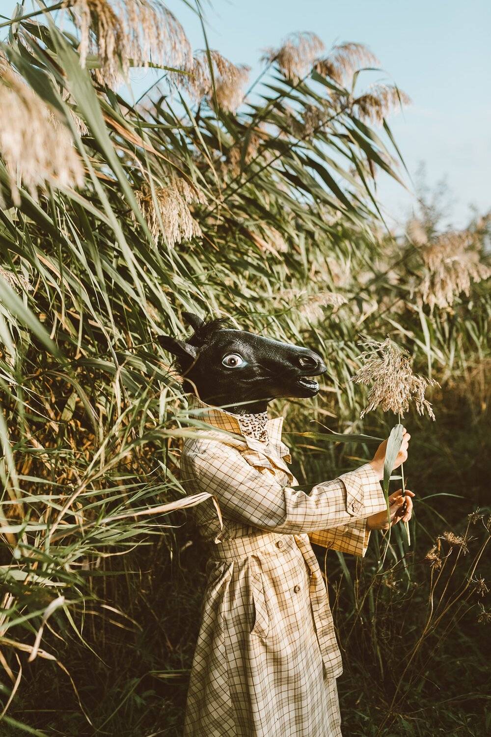 Фотография #5793139