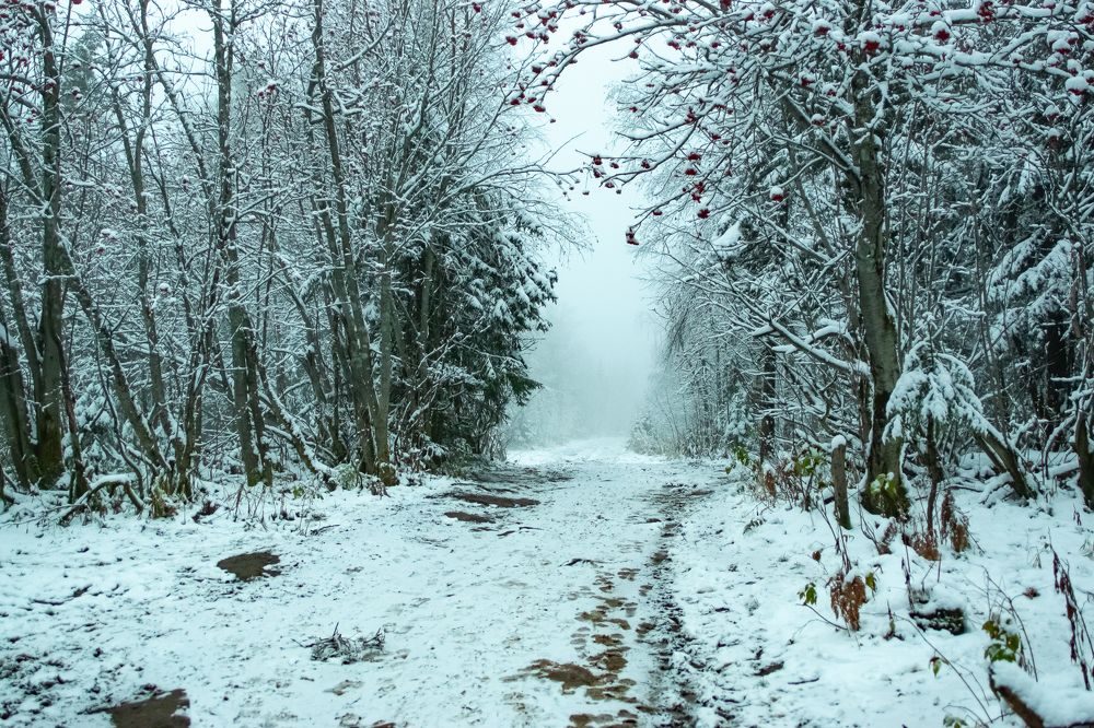 Фотография автора Вадим Топычканов