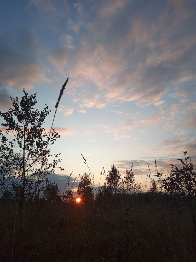 Photograph by Любовь Шаврина