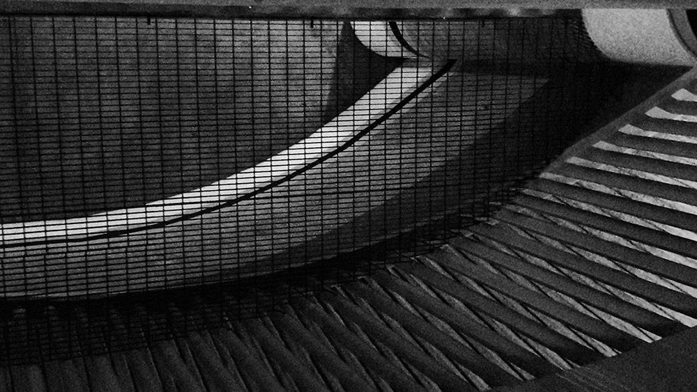 Photograph by Karla Quiñonez Rodriguez