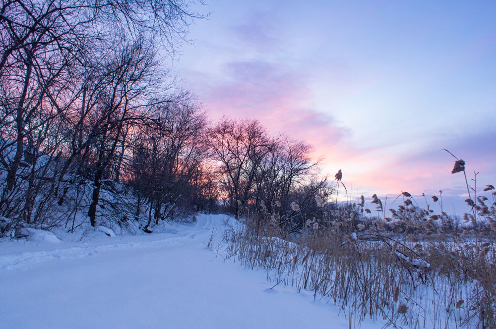 Photograph by Наталья Подмогильная