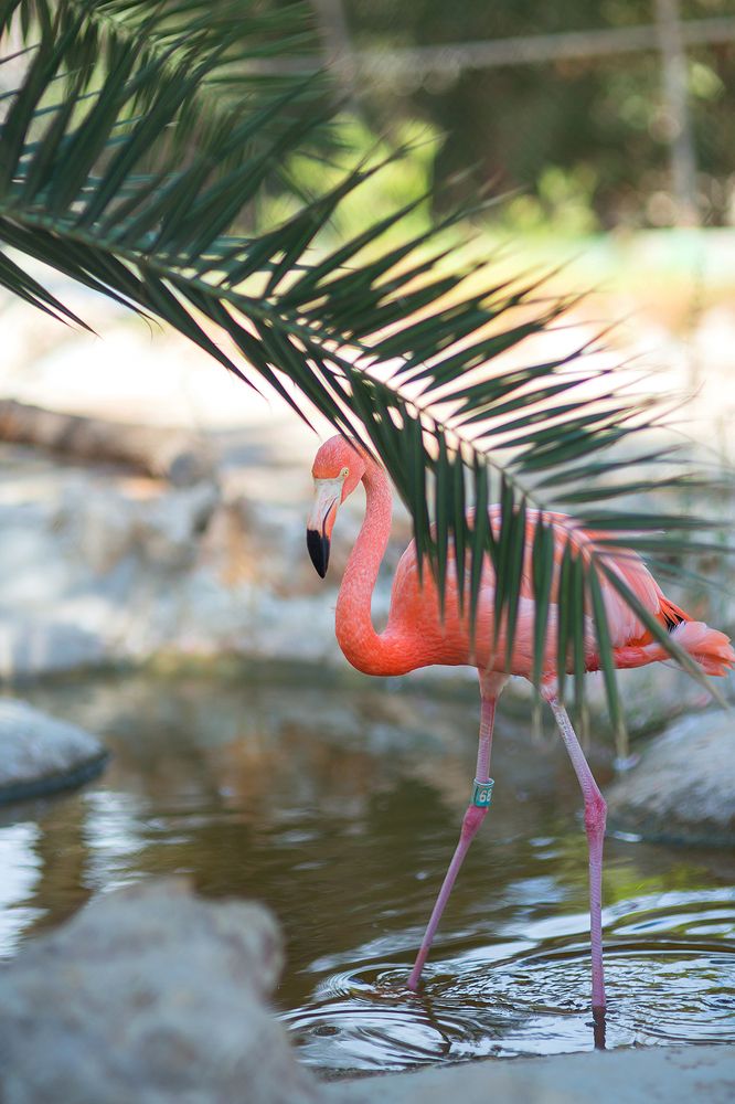 Photograph by Надежда Ячменева