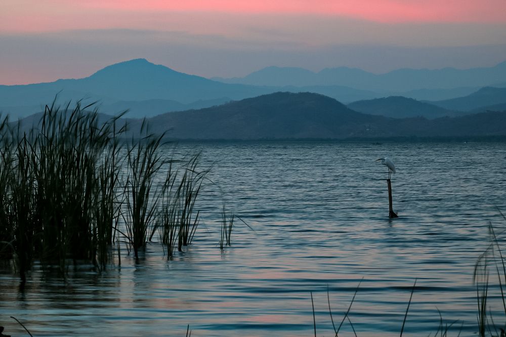 El ultimo rayo de sol