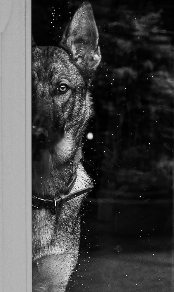 Photograph by Roman Vershynin