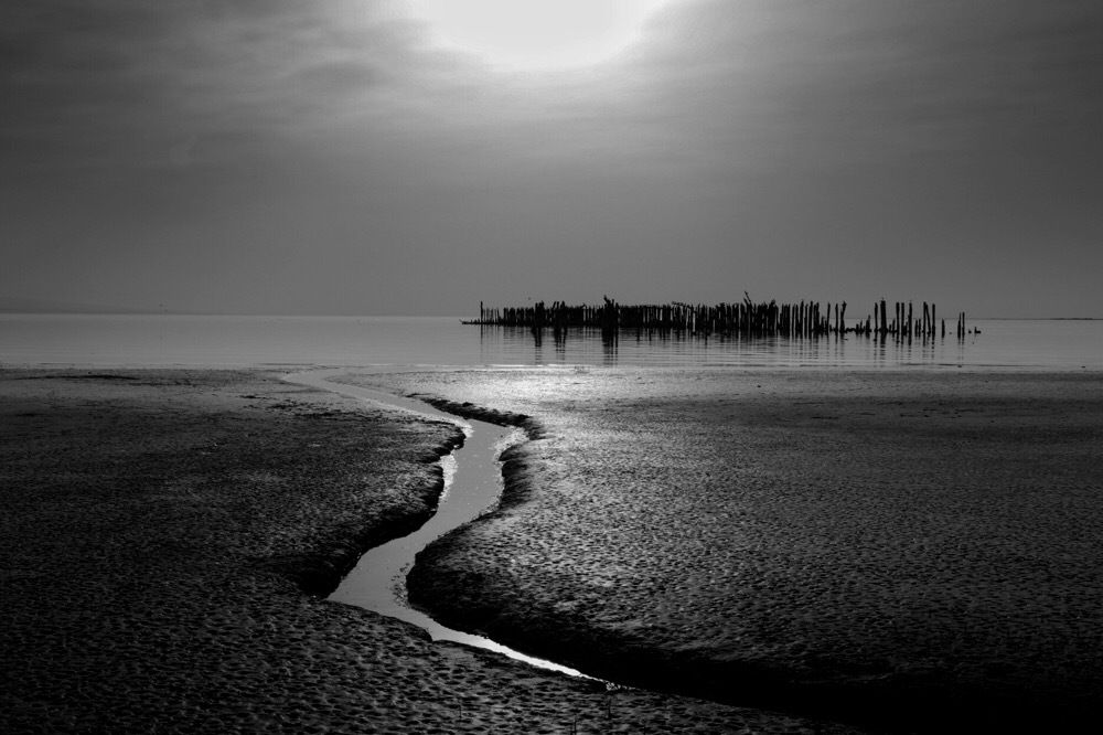 Фотография автора Alireza Bagheri sani