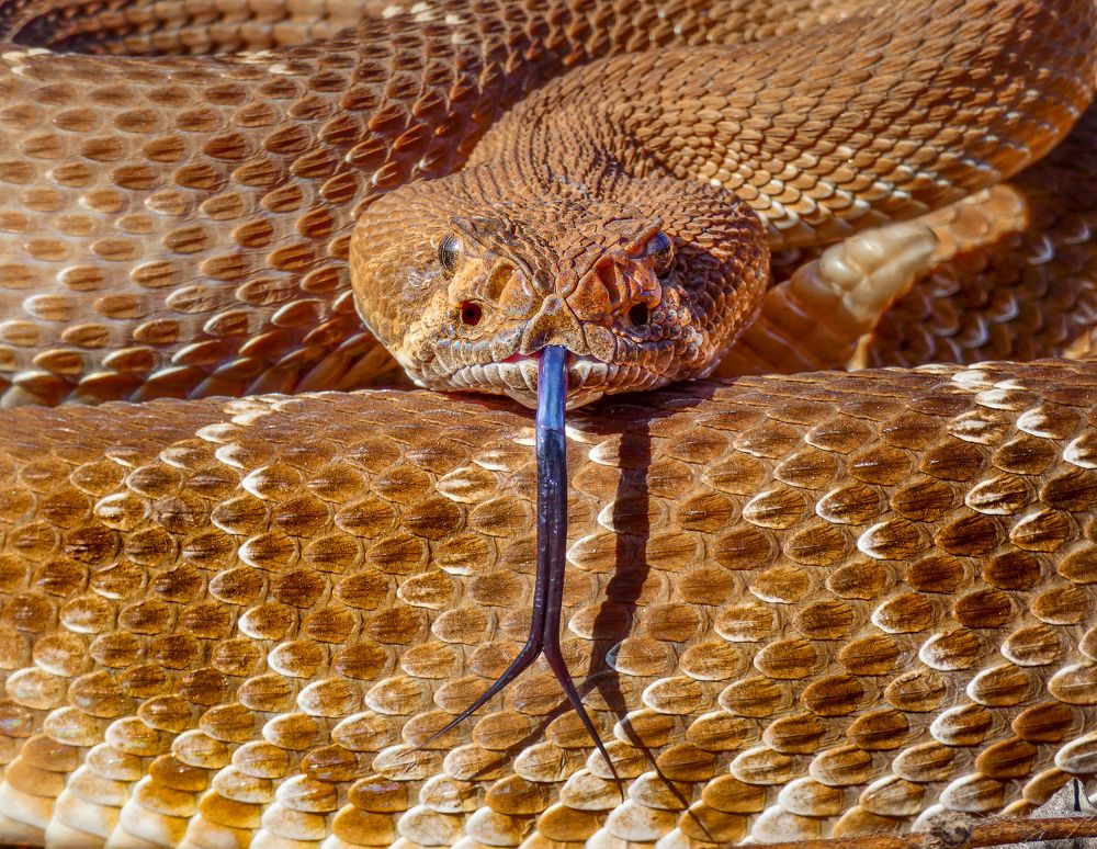 Photograph by Roman Vershynin