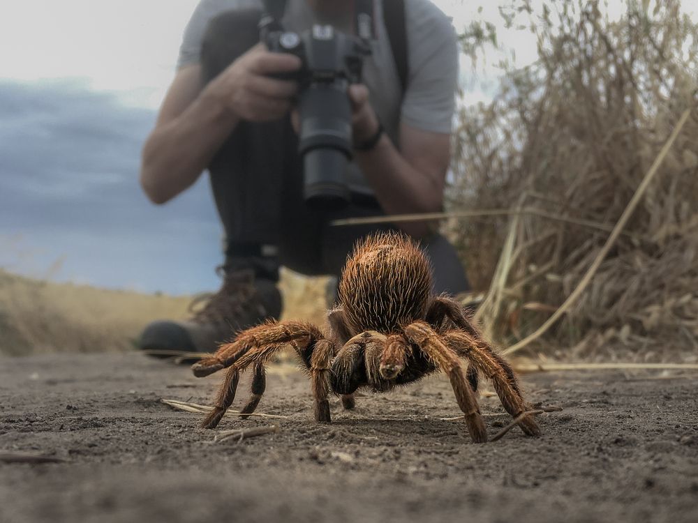 Photograph by Roman Vershynin