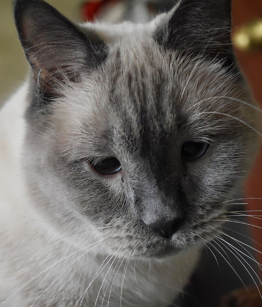 Photograph by Ольга Монаенкова