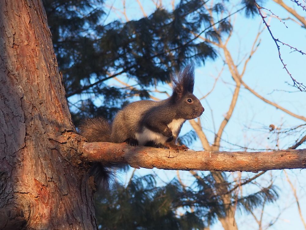 Photograph by Ольга Панкова