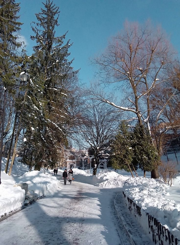 Photograph by Елена Шерман