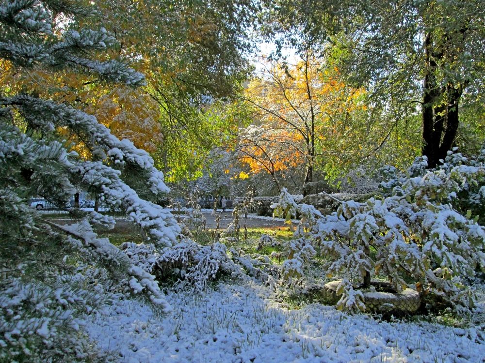Первый снег