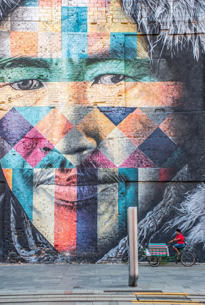 Фотография автора david xavier de carvalho