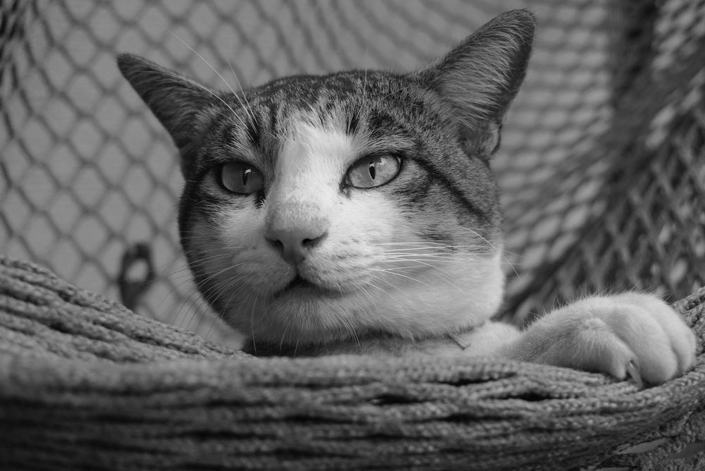 Photograph by Aliza Maglanoc