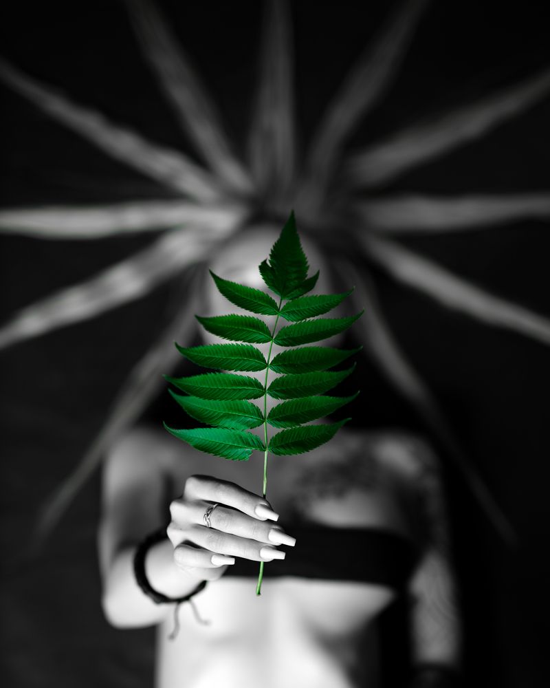 Photograph by Марлен Маан