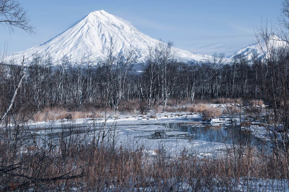 Фотография автора Ирина Копылова