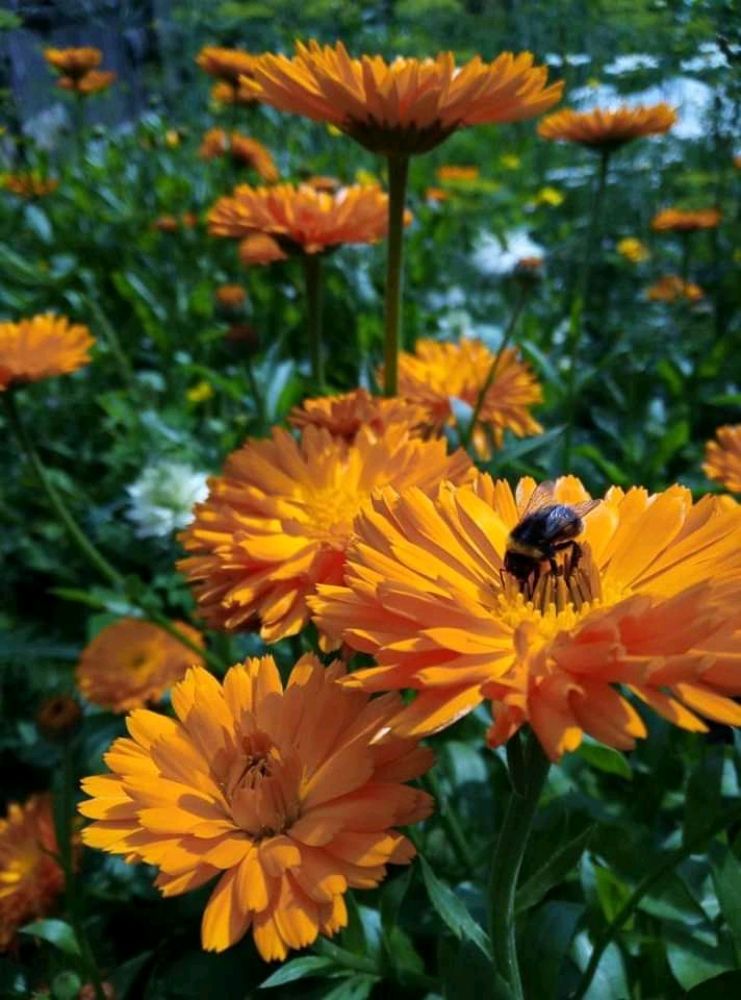 Photograph by Юлия Волобуева