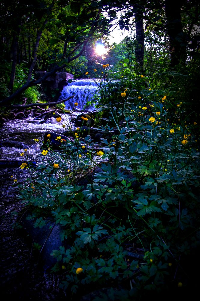 Photograph by Анна