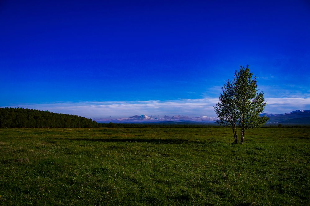 Photograph by Анна