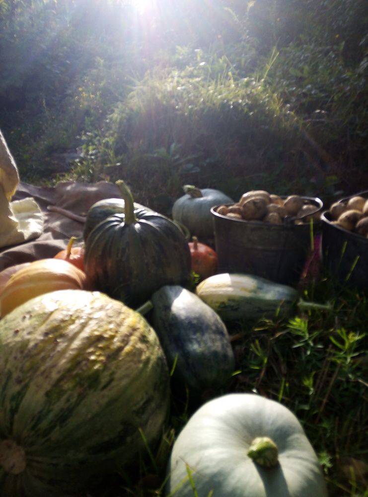 Photograph by Юлия Волобуева