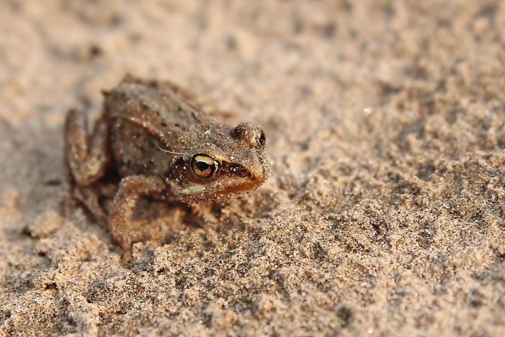 Photograph by Александр Велигура