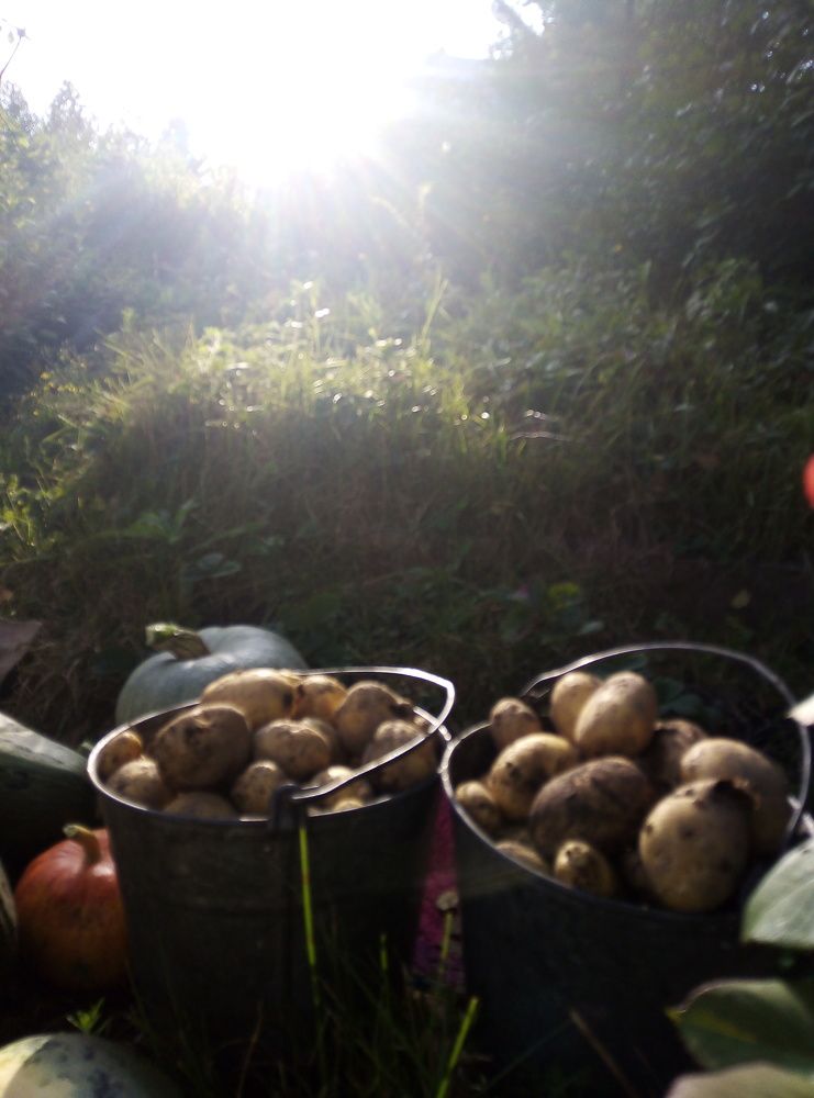 Photograph by Юлия Волобуева