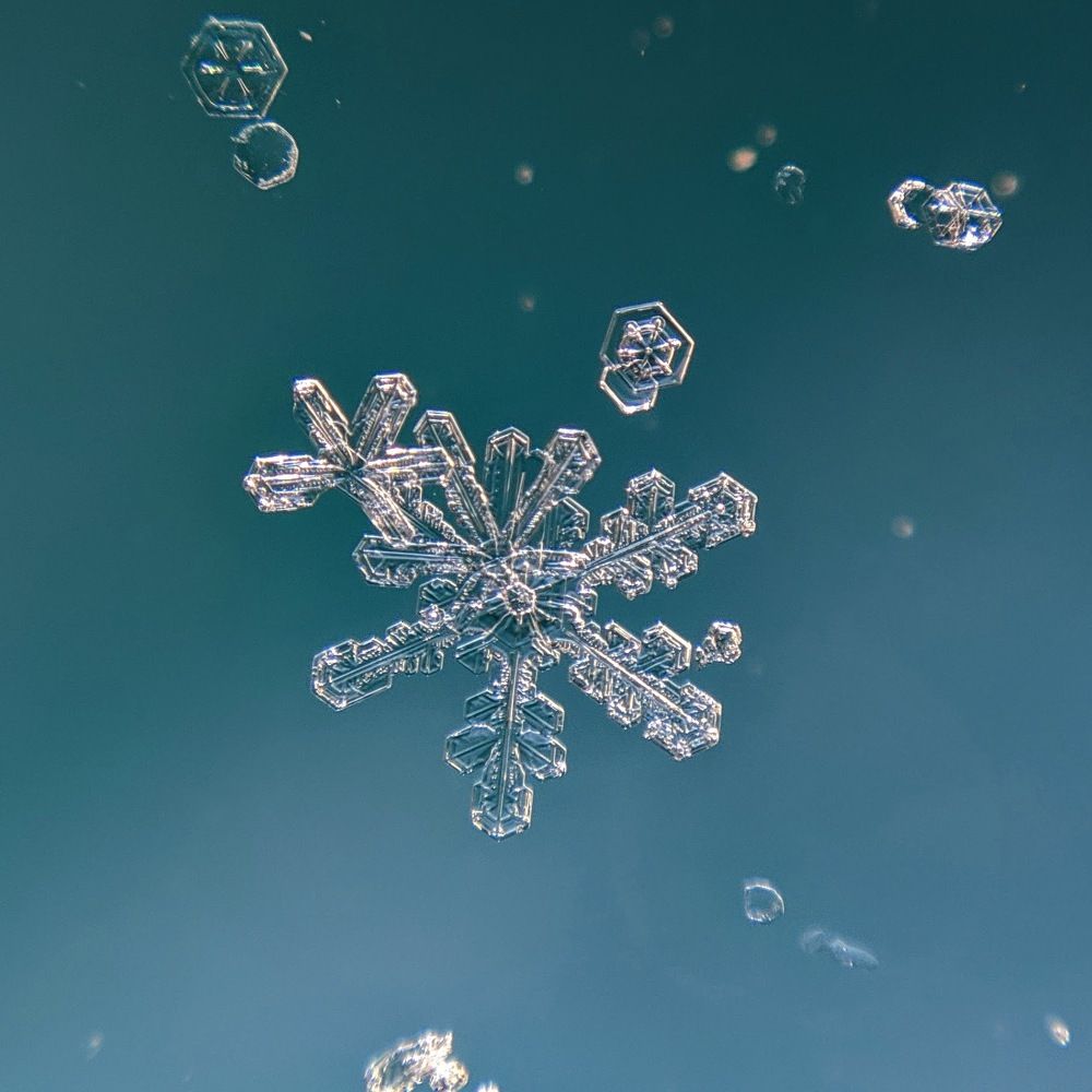 Photograph by Дмитрий Кузнецов