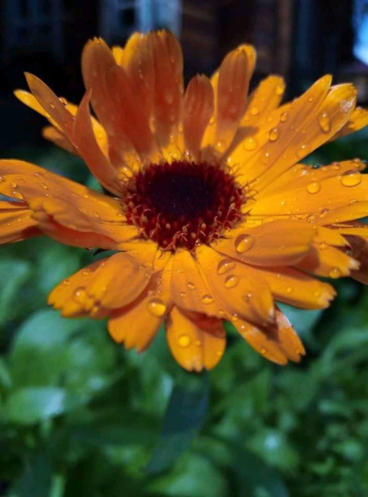 Photograph by Юлия Волобуева