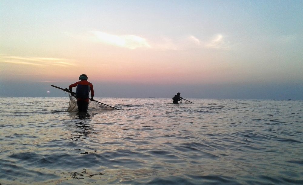 Photograph by Sajibul islam