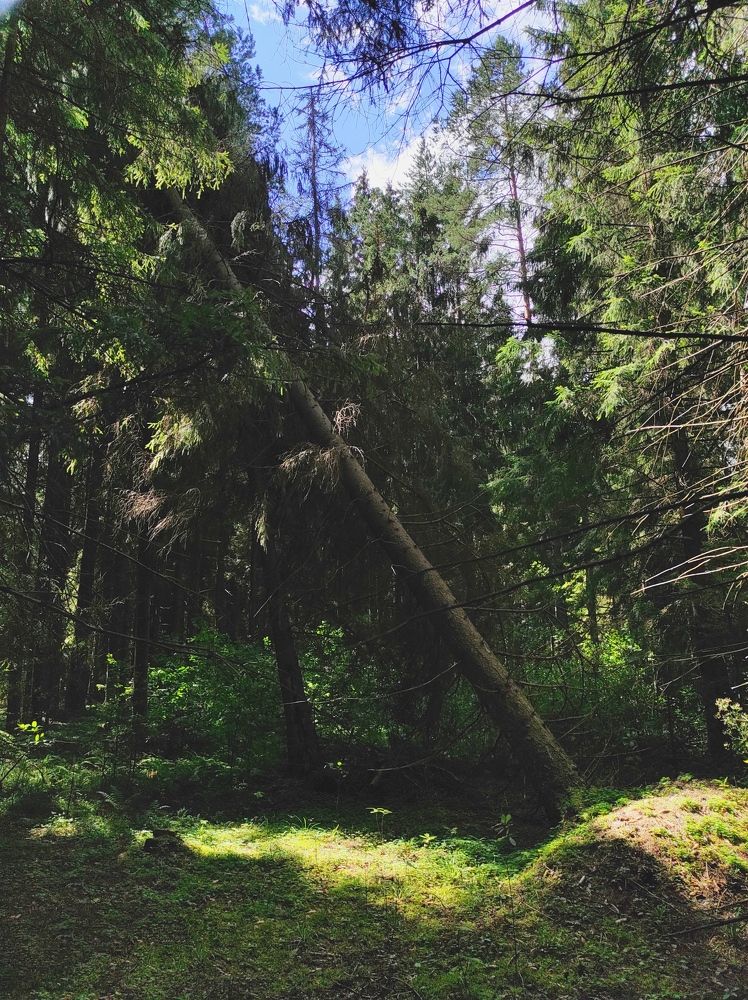 Photograph by Александр Бородин