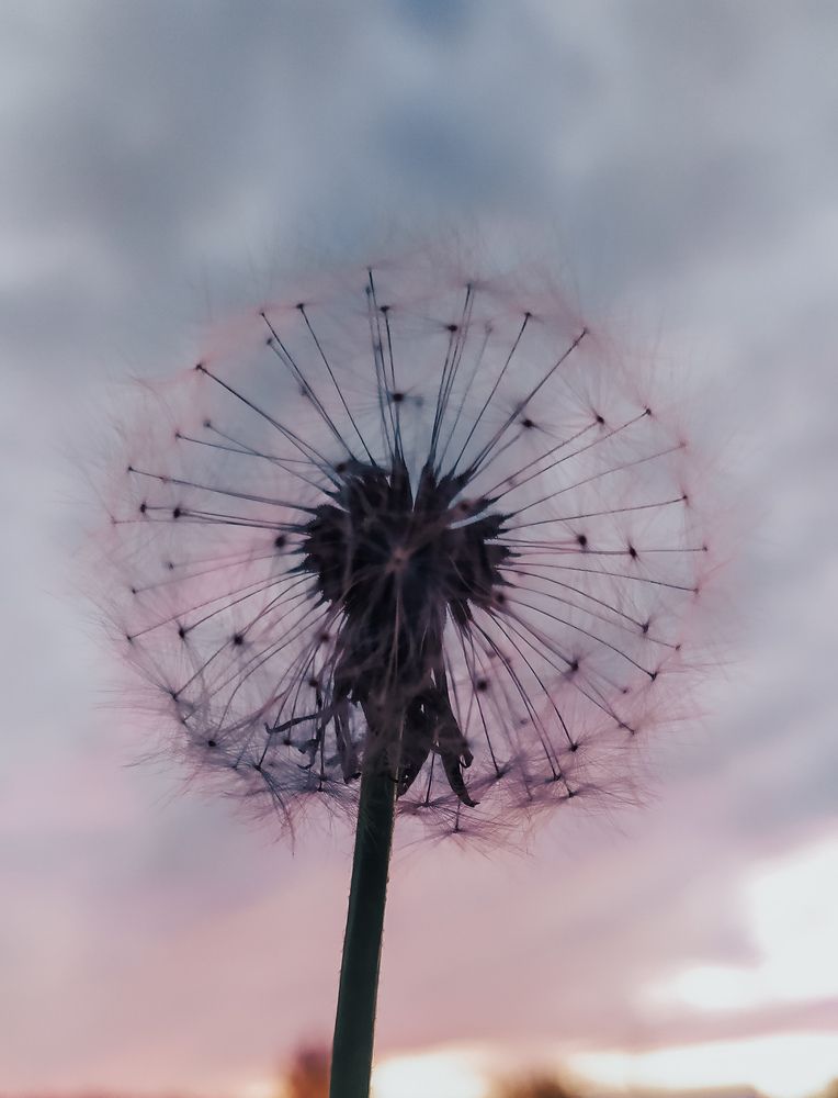 Photograph by Ирина Лузянина