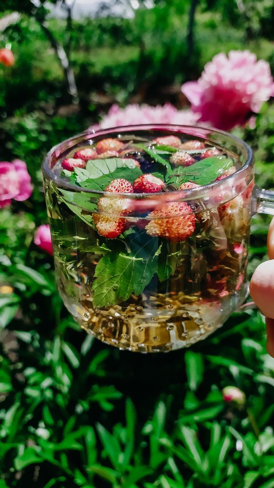 Photograph by Ирина Лузянина