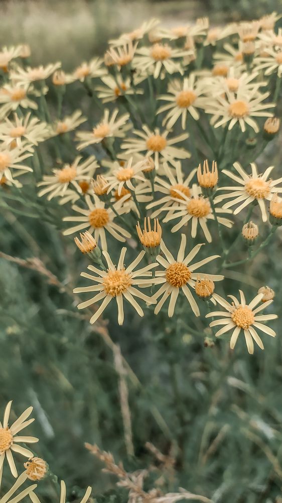 Photograph by Ирина Лузянина