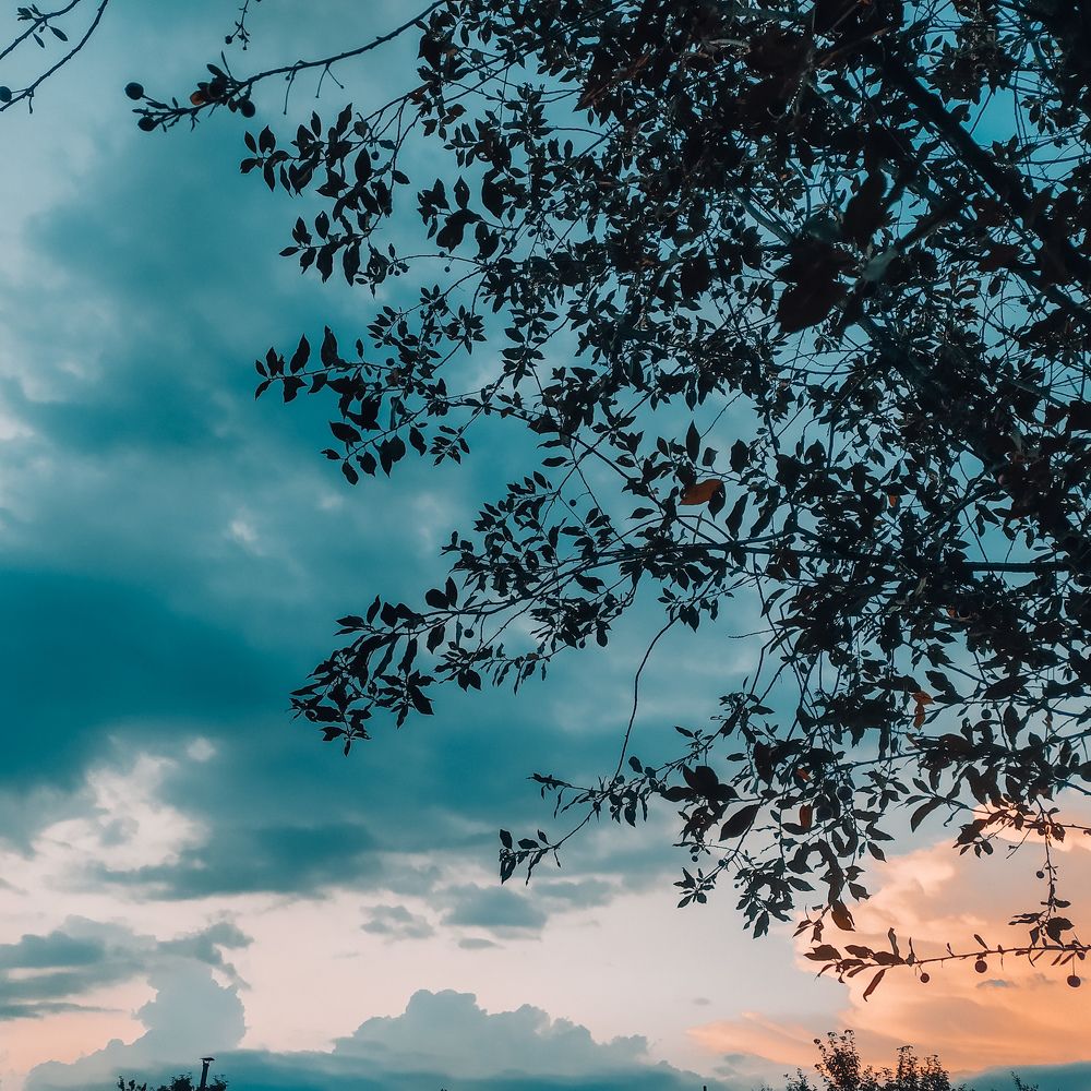 Photograph by Ирина Лузянина