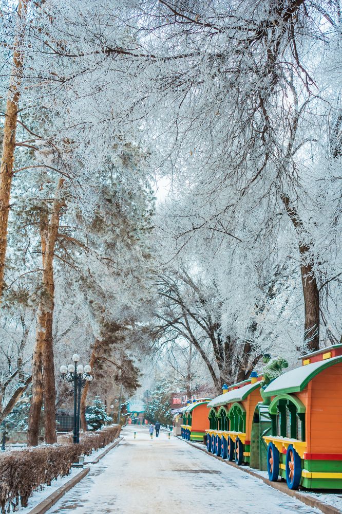 Photograph by Юлия Подлеснова