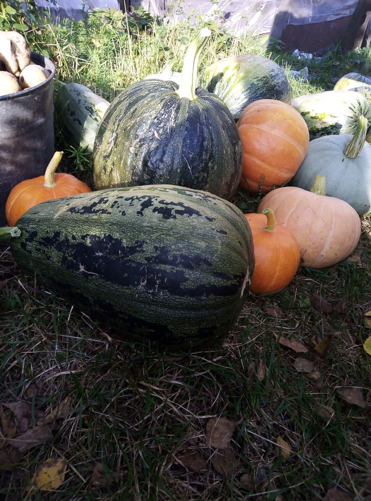 Photograph by Юлия Волобуева