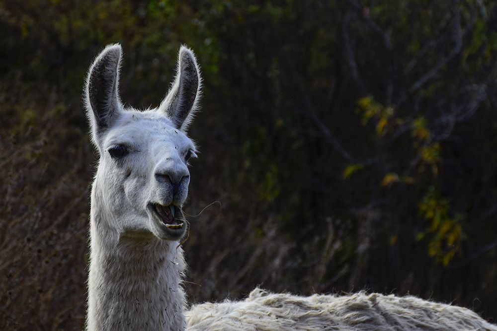 Photograph by Sandra Arena