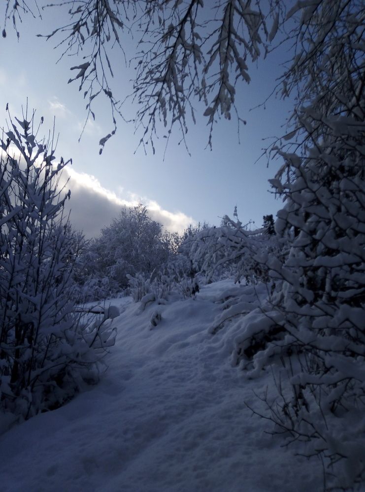 Photograph by Юлия Волобуева